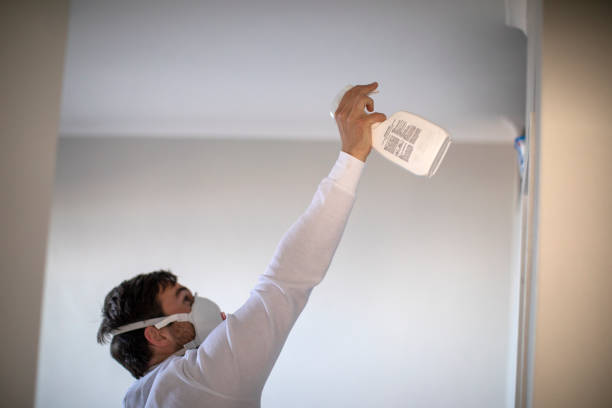 Best Kitchen Mold Remediation in Baldwin, MI